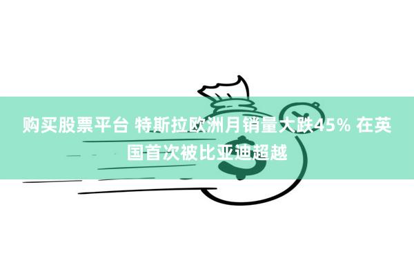 购买股票平台 特斯拉欧洲月销量大跌45% 在英国首次被比亚迪超越