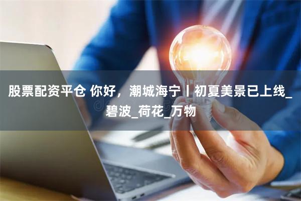 股票配资平仓 你好，潮城海宁丨初夏美景已上线_碧波_荷花_万物