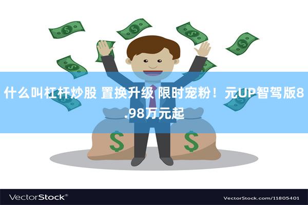 什么叫杠杆炒股 置换升级 限时宠粉！元UP智驾版8.98万元起