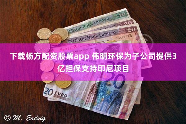 下载杨方配资股票app 伟明环保为子公司提供3亿担保支持印尼项目