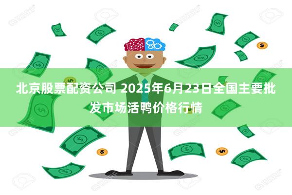 北京股票配资公司 2025年6月23日全国主要批发市场活鸭价格行情