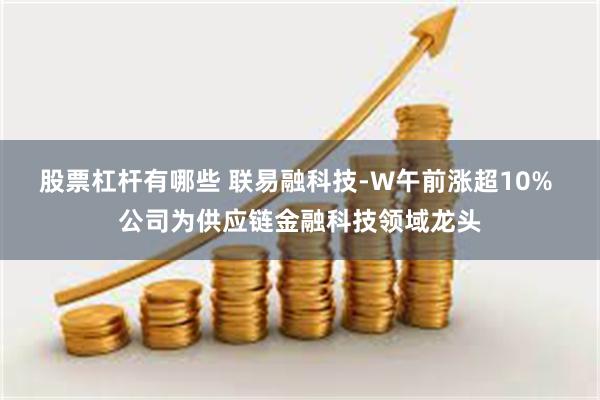 股票杠杆有哪些 联易融科技-W午前涨超10% 公司为供应链金融科技领域龙头
