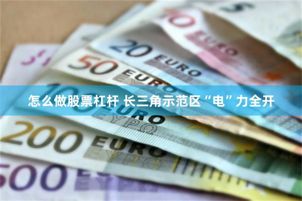 怎么做股票杠杆 长三角示范区“电”力全开